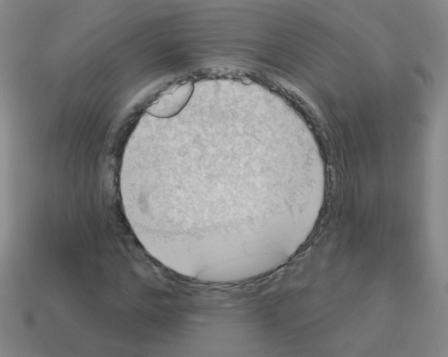 X0000113230968200910221036