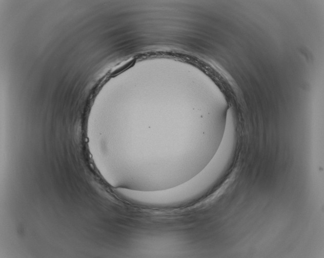 X0000113230969200910221036