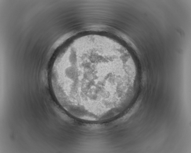 X0000113230970200910221036