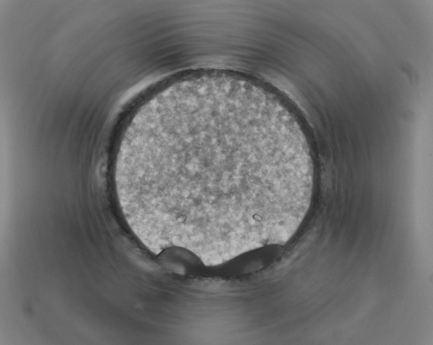 X0000113230971200910221036