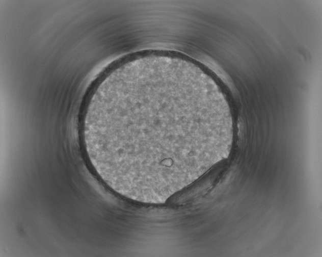 X0000113230972200910221036