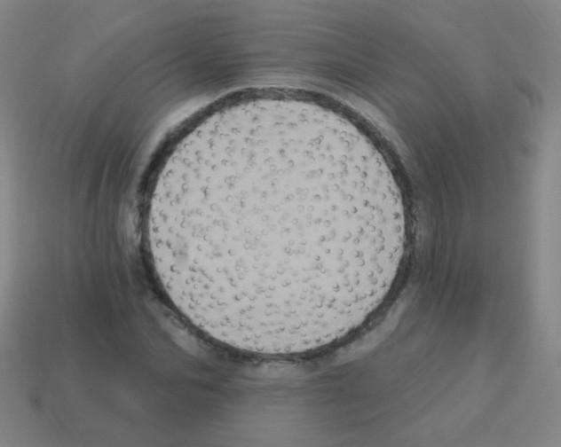 X0000113230974200910221036