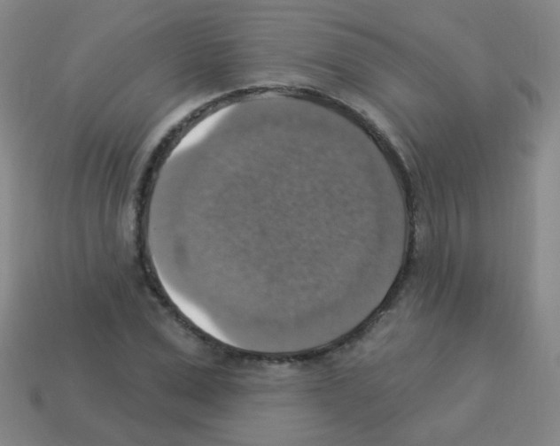 X0000113230975200910221036