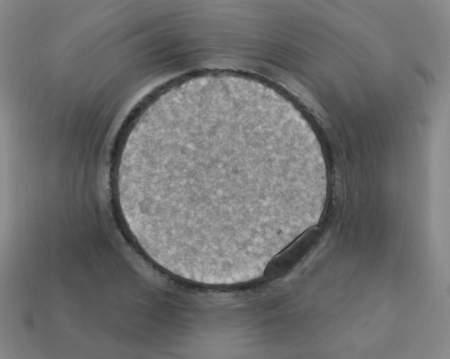 X0000113230976200910221036