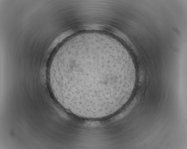 X0000113230978200910221036