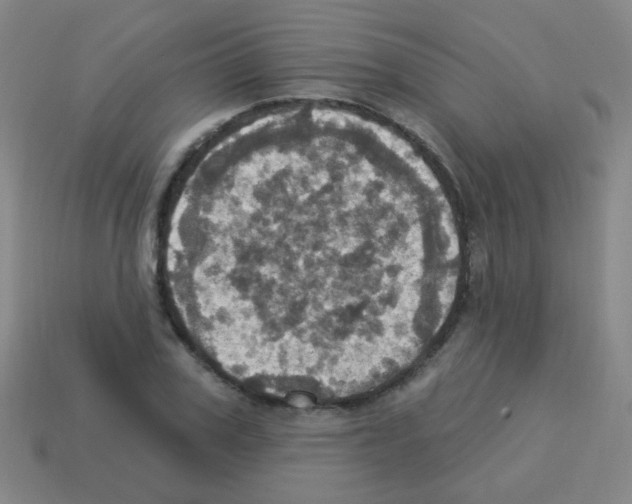 X0000113230979200910221036