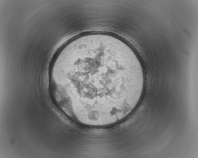 X0000113230982200910221036