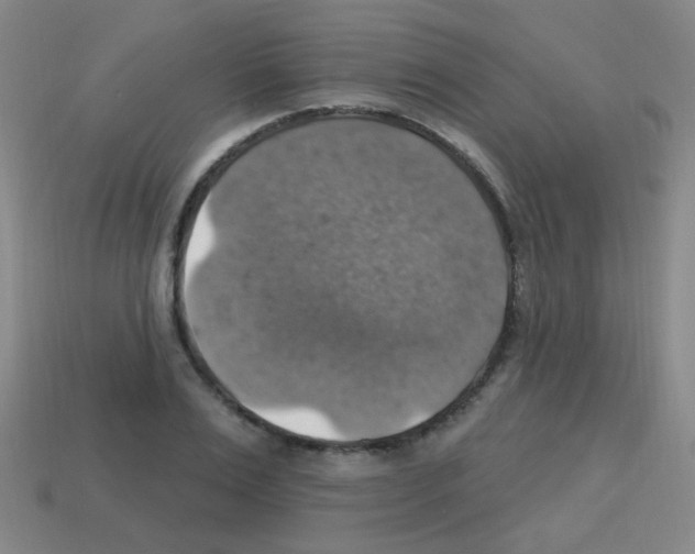 X0000113230983200910221036