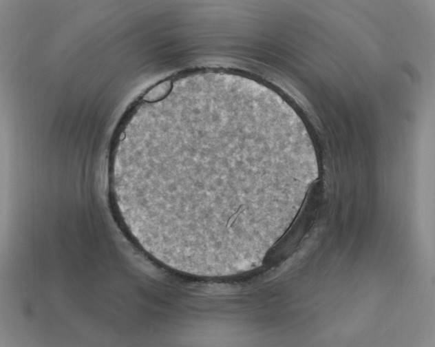 X0000113230984200910221036