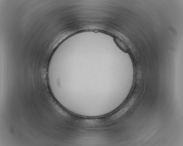 X0000113230985200910221036