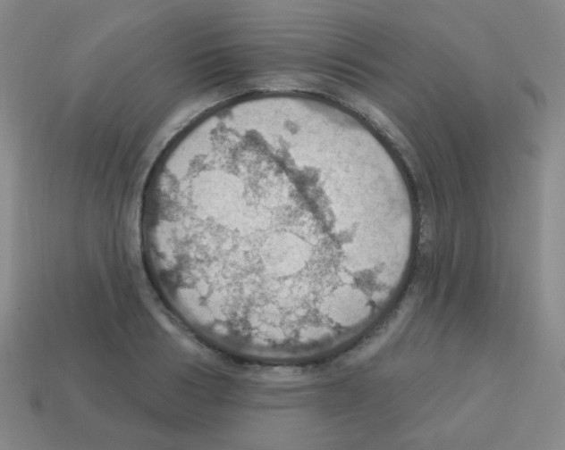 X0000113230986200910221036