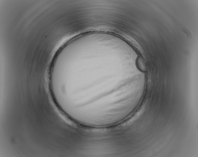 X0000113230989200910221035