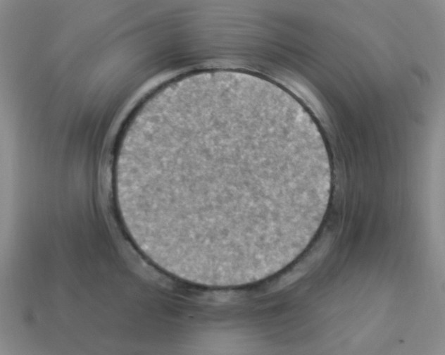 X0000113231000200910221035