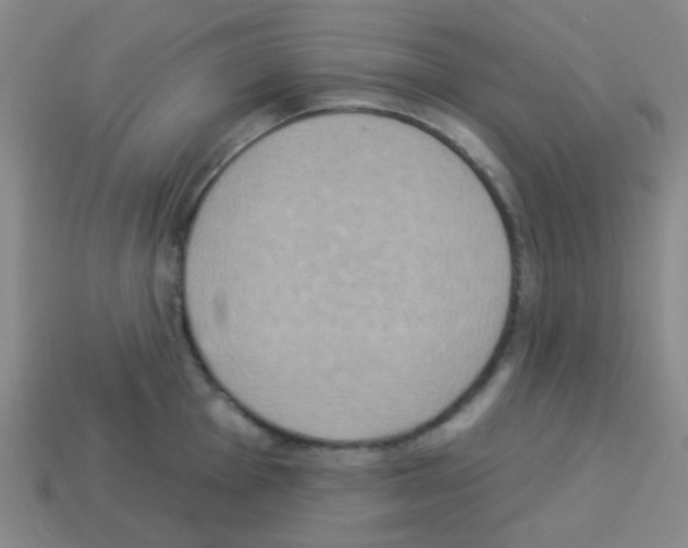 X0000113231001200910221035