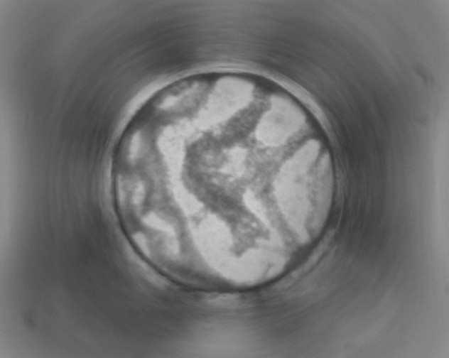 X0000113231006200910221035