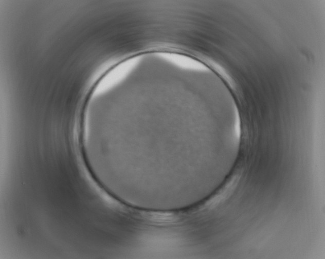 X0000113231007200910221035