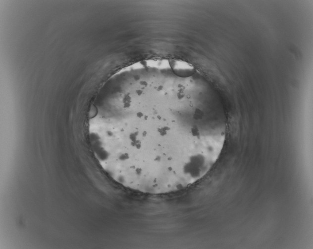 X0000113231009200910221035