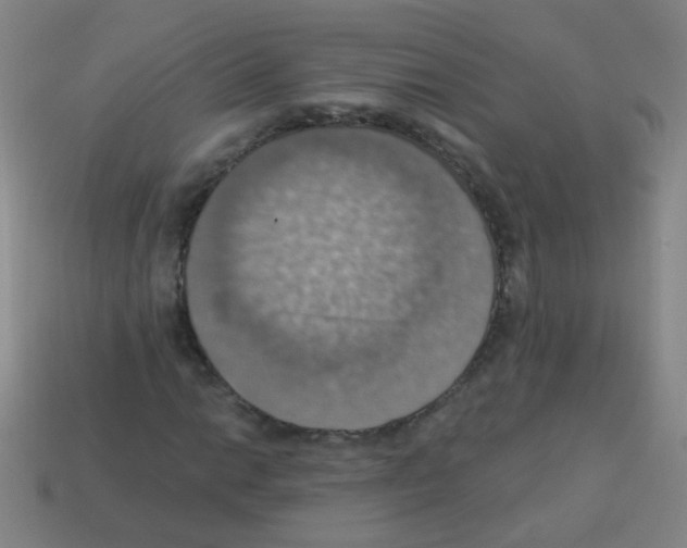 X0000113231014200910221035