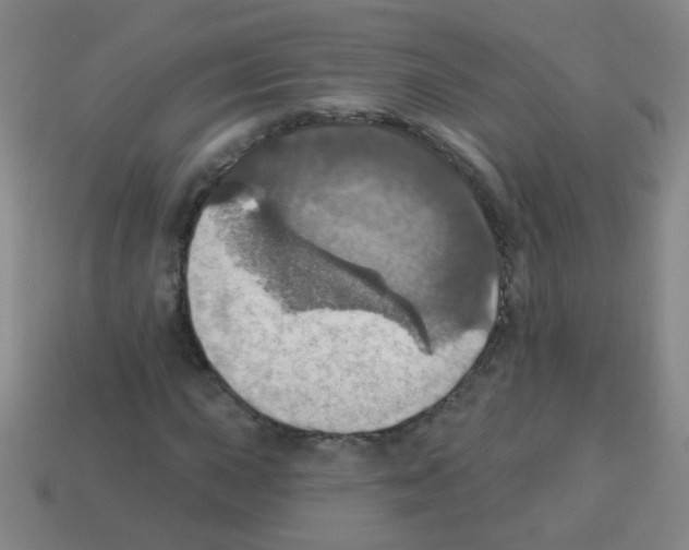 X0000113231015200910221035