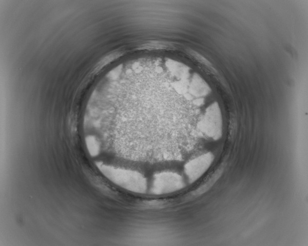 X0000113231017200910221035