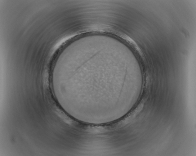 X0000113231019200910221035