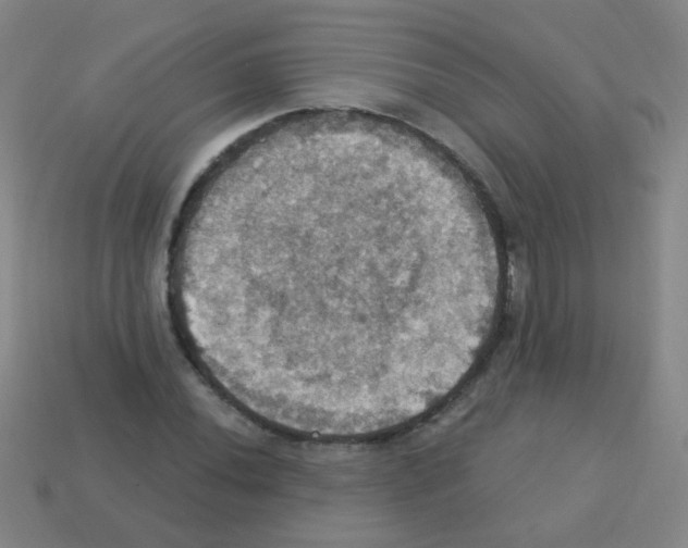 X0000113231020200910221035