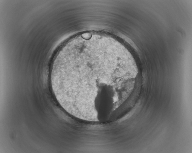 X0000113231021200910221035