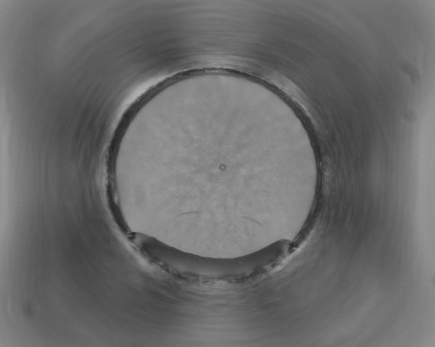 X0000113231024200910221035