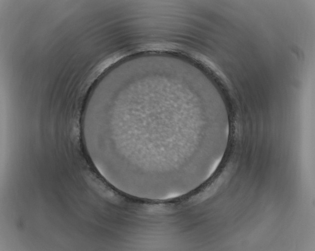 X0000113231025200910221035