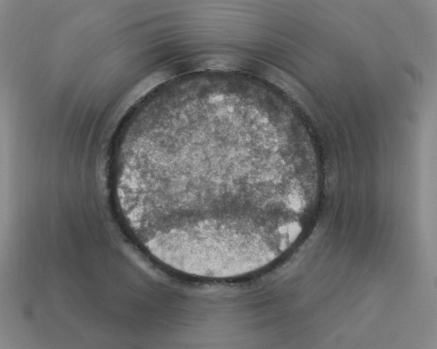 X0000113231026200910221035