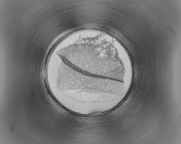 X0000113231028200910221035