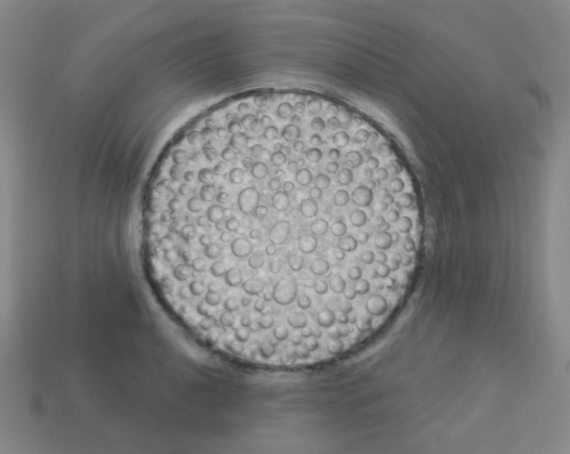 X0000113231040200910221035