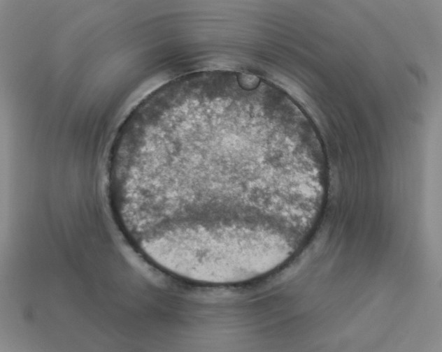 X0000113231042200910221035