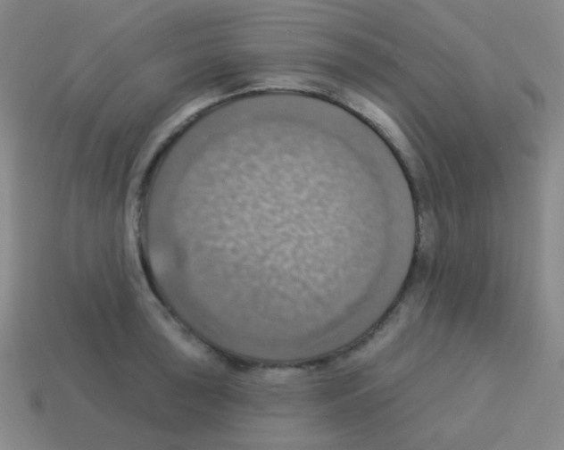 X0000113231043200910221035