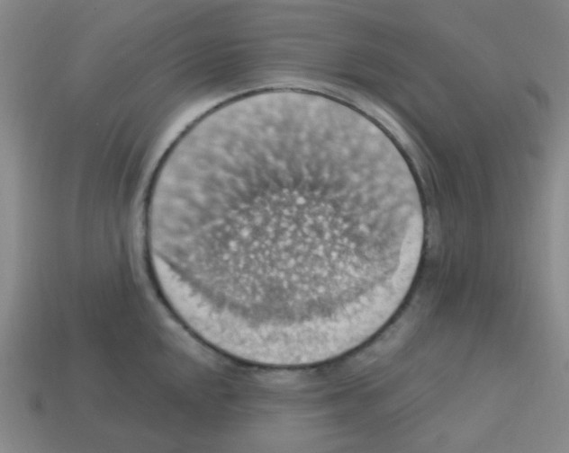 X0000113231048200910221035