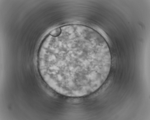 X0000113231051200910221035