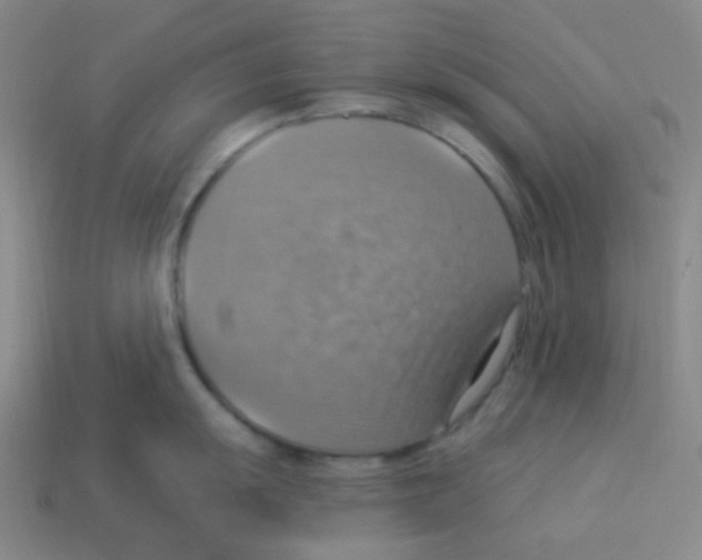 X0000113231055200910221035