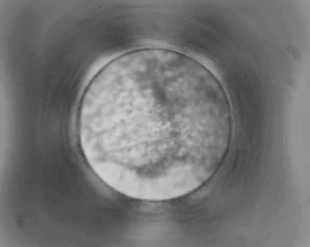 X0000113231056200910221035