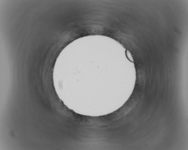 X0000113231057200910221035