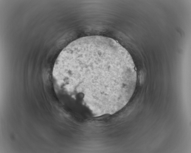 X0000113231059200910221035