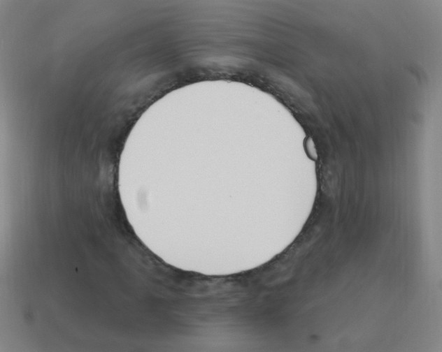 X0000113231061200910221035