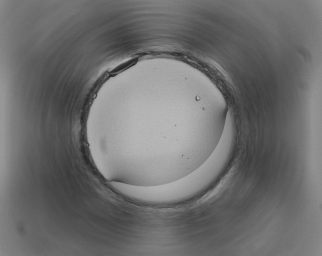 X0000113231065200910221034