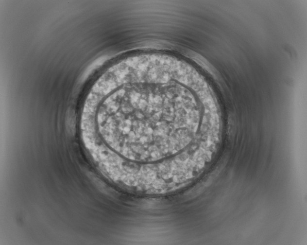 X0000113231067200910221034