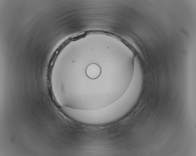 X0000113231068200910221034