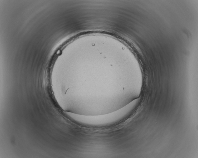 X0000113231069200910221034