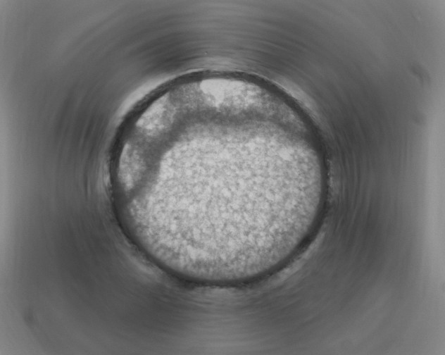 X0000113231070200910221034