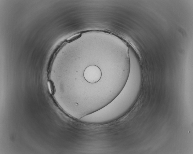 X0000113231072200910221034