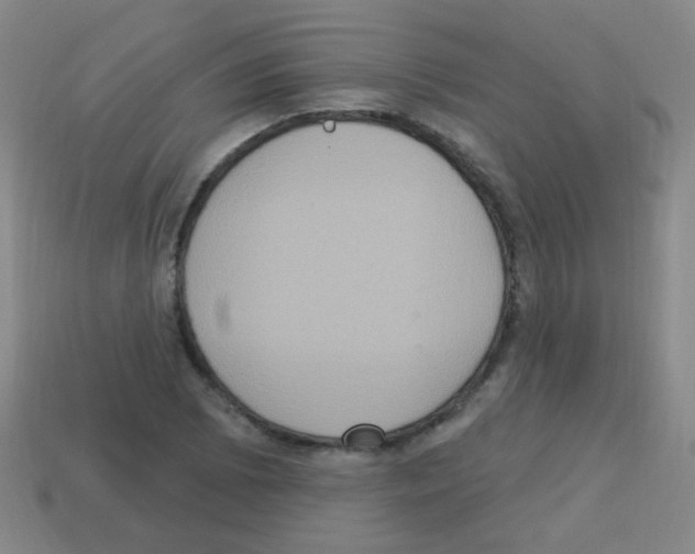 X0000113231073200910221034