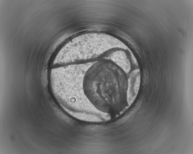 X0000113231075200910221034