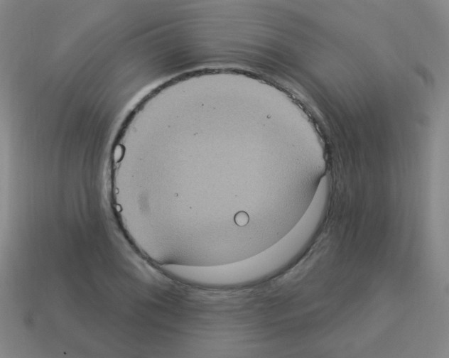 X0000113231076200910221034